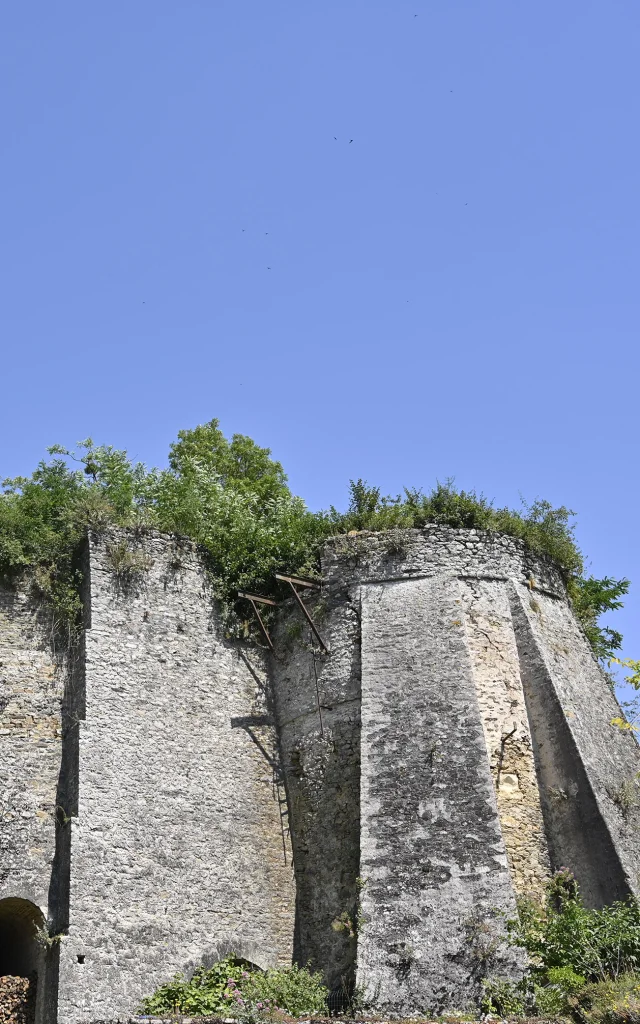 Parne Sur Roc - Pascal Beltrami Laval Tourisme