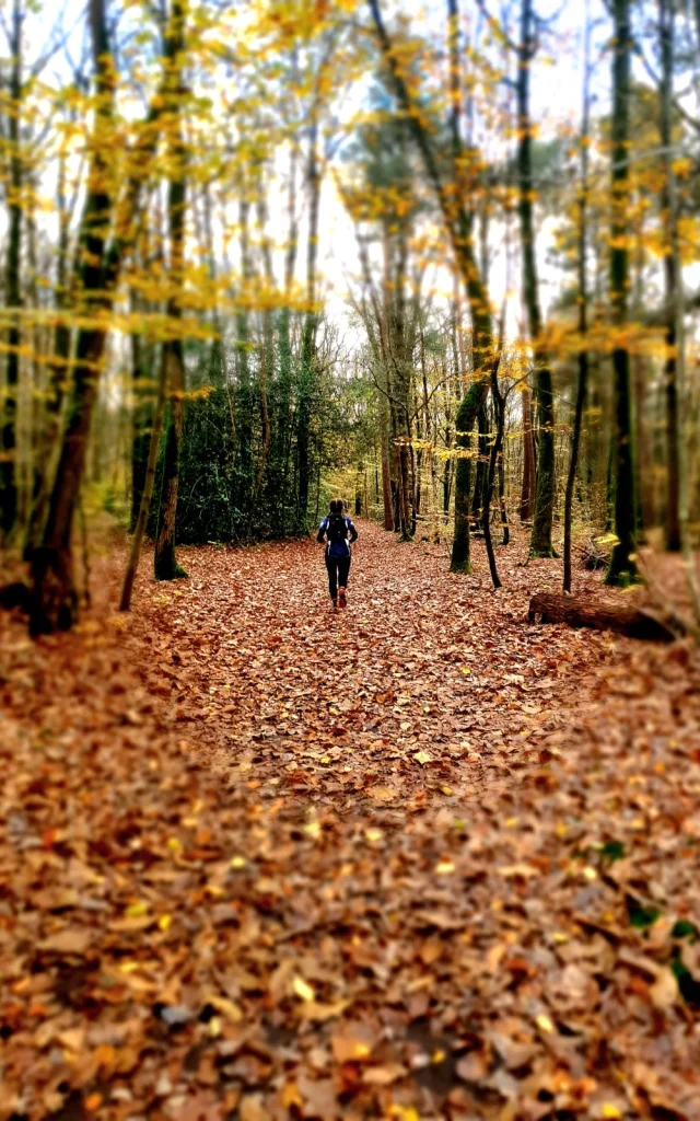 Trail novembre