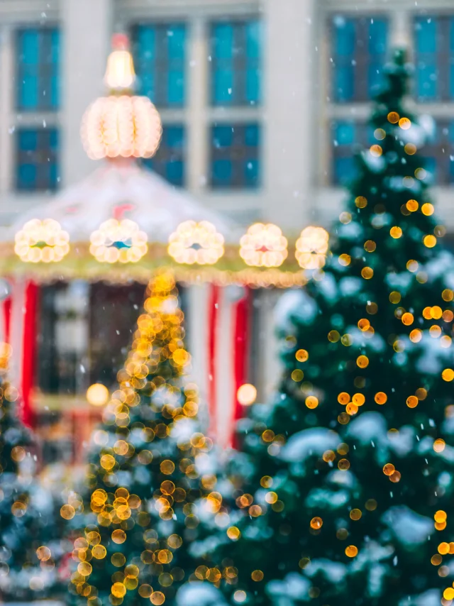 Out Focus Shot Lit Garlands Christmas Trees Outdoors