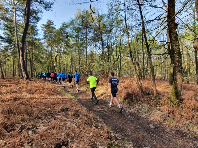 Trail-Bois-de-l-Huisserie006Sebastien-Courteille.jpg